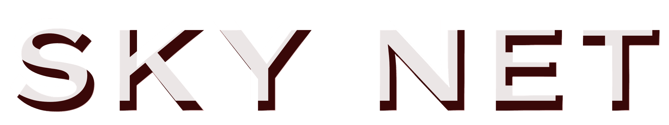 SKY NET